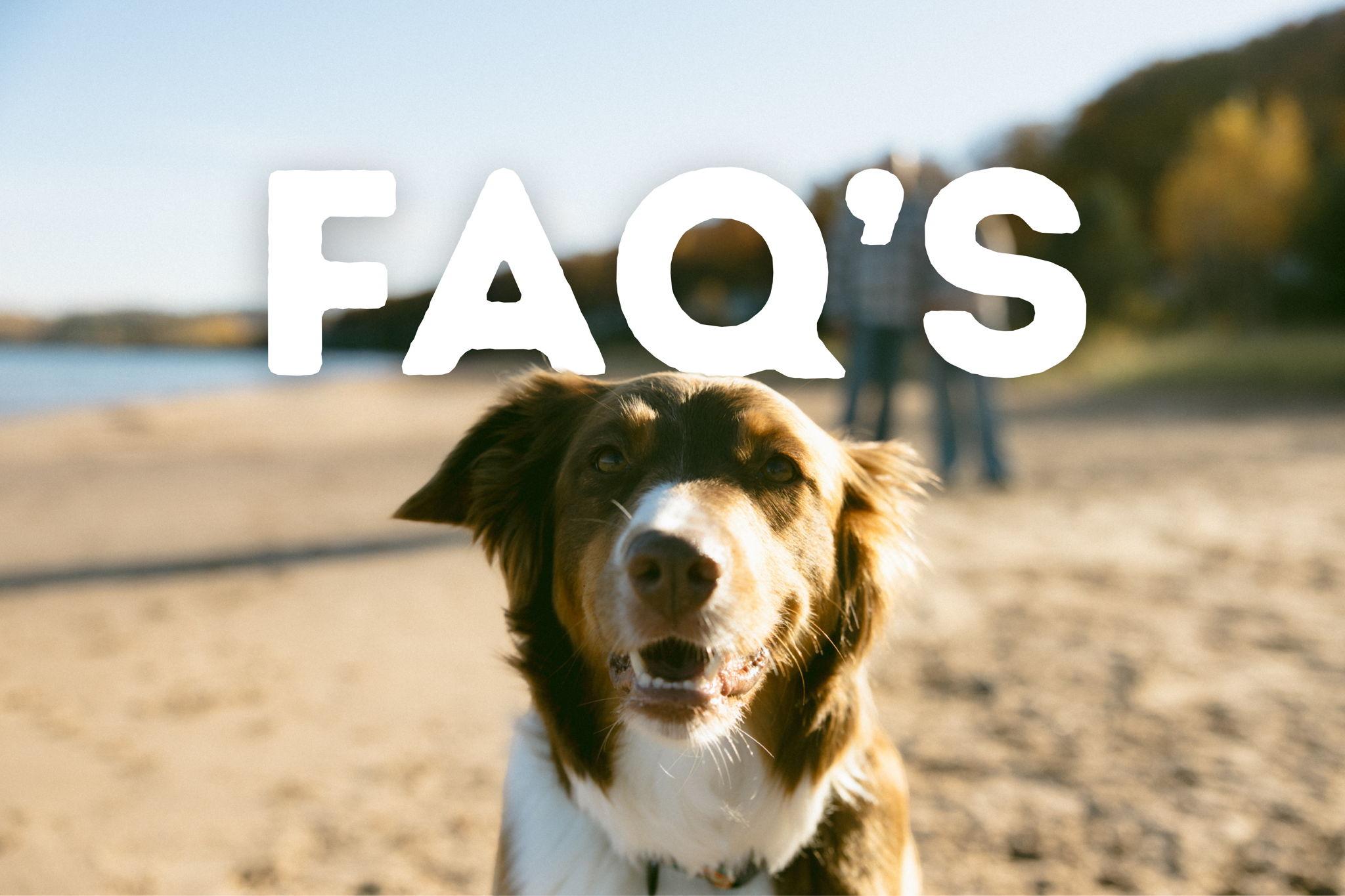 The Wedding Website of Bailey Rebh and Jake Blackmer