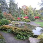 Washington Park Arboretum UW Botanic Gardens