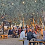 Queen Creek Olive Mill