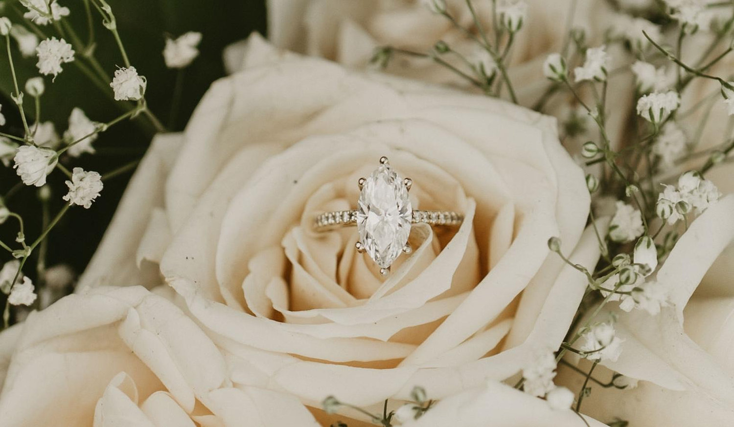 The Wedding Website of Lisa DiPlacido and Michael Jevic