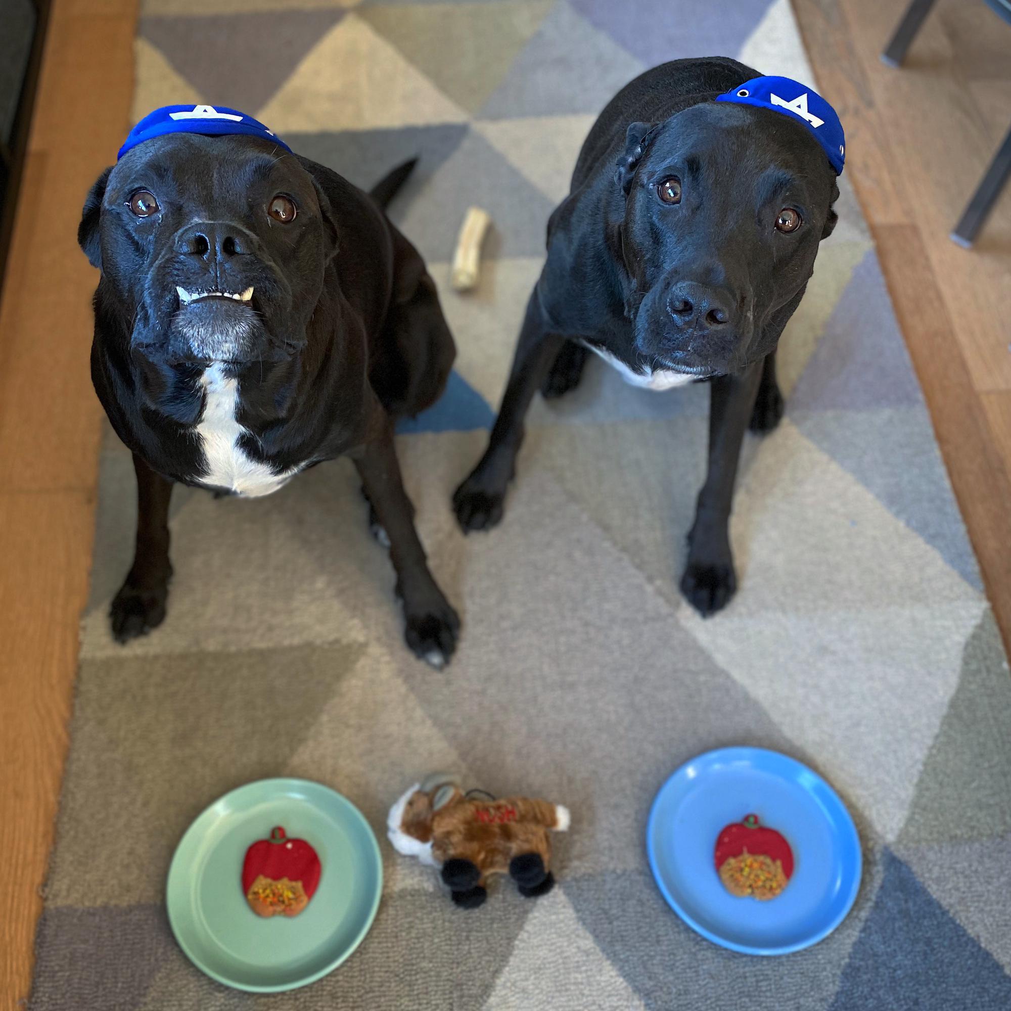 Happy Rosh Hashana