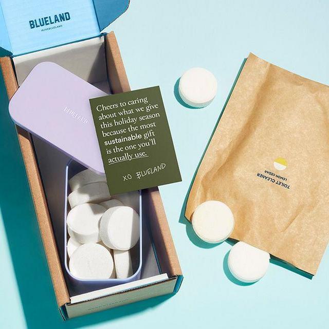 BlueLand Toilet Cleaner Starter Set for 2 Bathrooms
