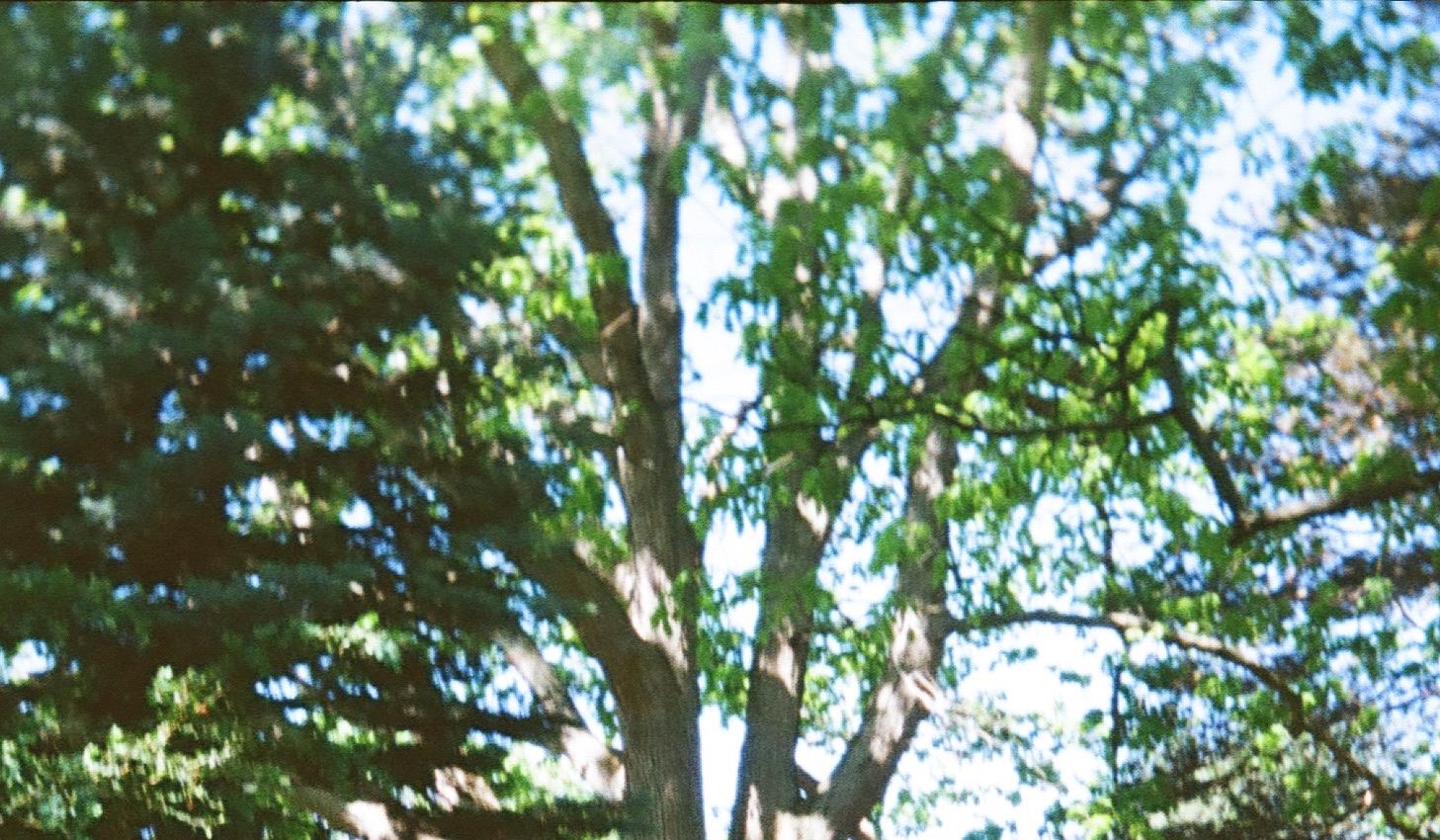 The Wedding Website of Maggie Tucker and Ryan Jones