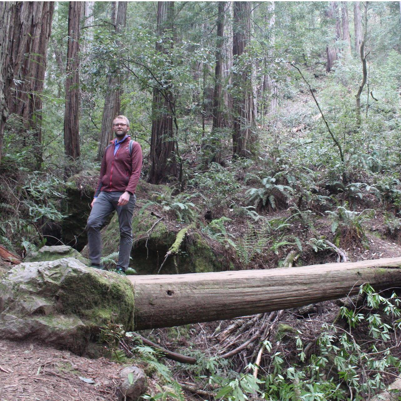 Exploring Muir Woods together!