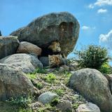 Omaha's Henry Doorly Zoo and Aquarium