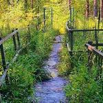 Theodore Wirth Regional Park
