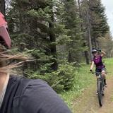 Rendezvous MTB Trails