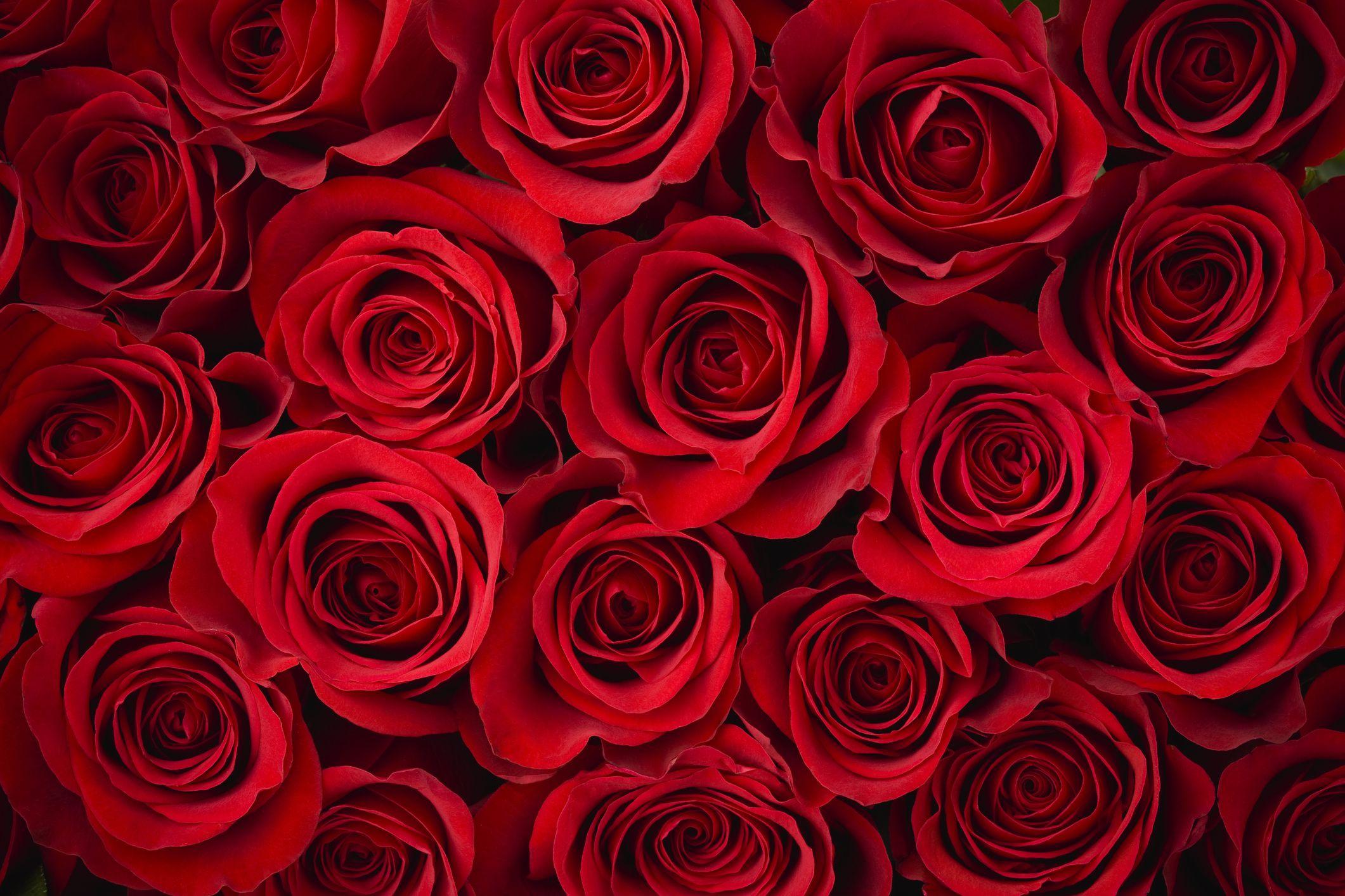 The Wedding Website of Quincy III and Brenda Kea