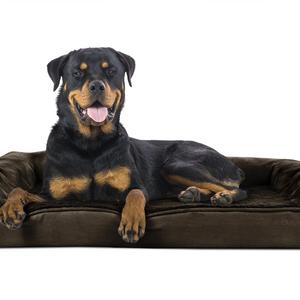 FurHaven Ultra Plush/Velvet Orthopedic Dog Couch Sofa Bed for Dogs and Cats, Plush Espresso, Jumbo