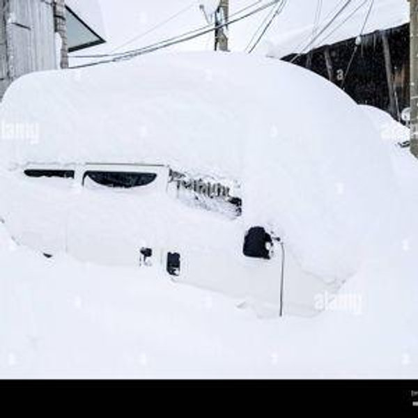 Japanese Sports Car Rental - Ski Van