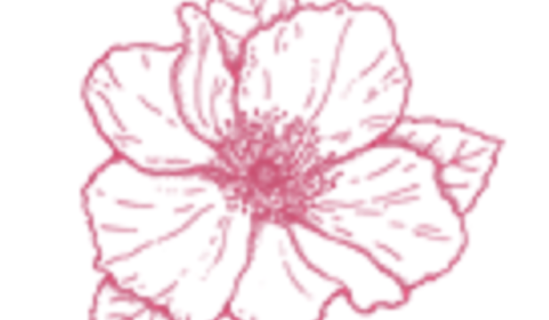Footer image