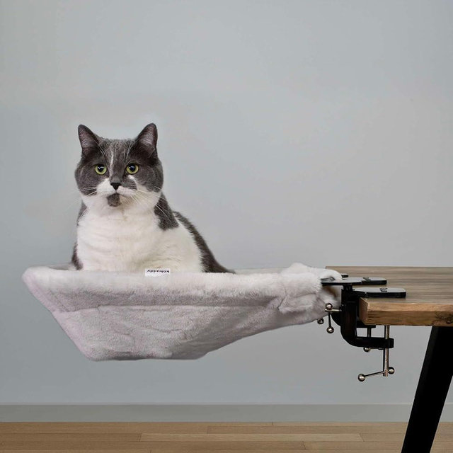KOBUDDY | XL Cat Desk Hammock | Heavy Duty Clamp-On Pet Bed | Indoor Pale Beige