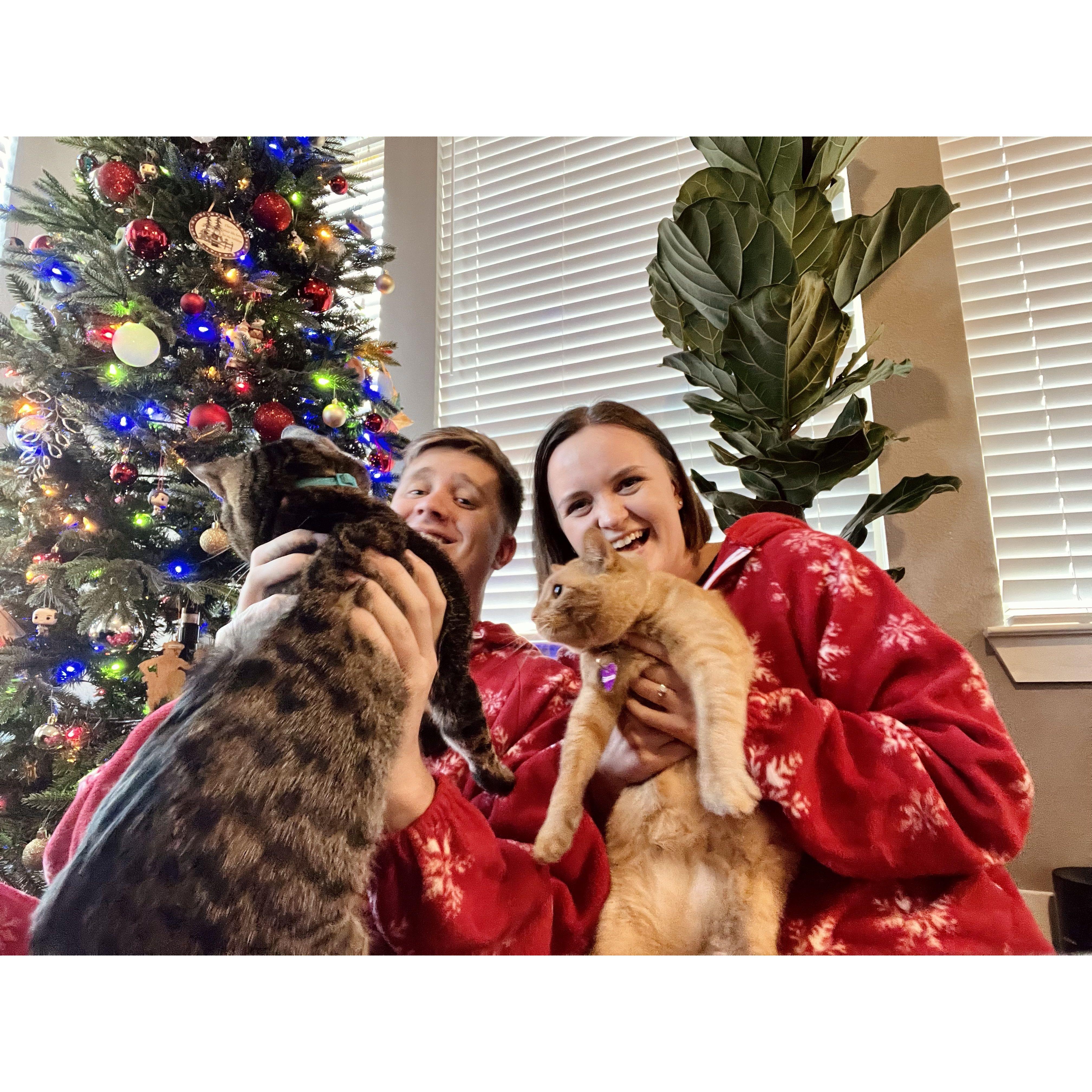 The 2022 Christmas card that was never sent