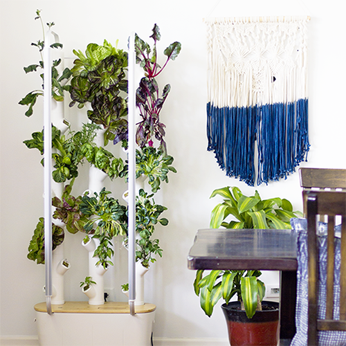Gardyn - indoor vertical garden
