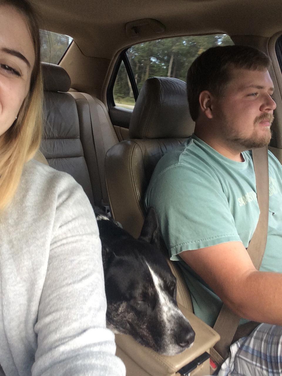 Engagement trip, 2016