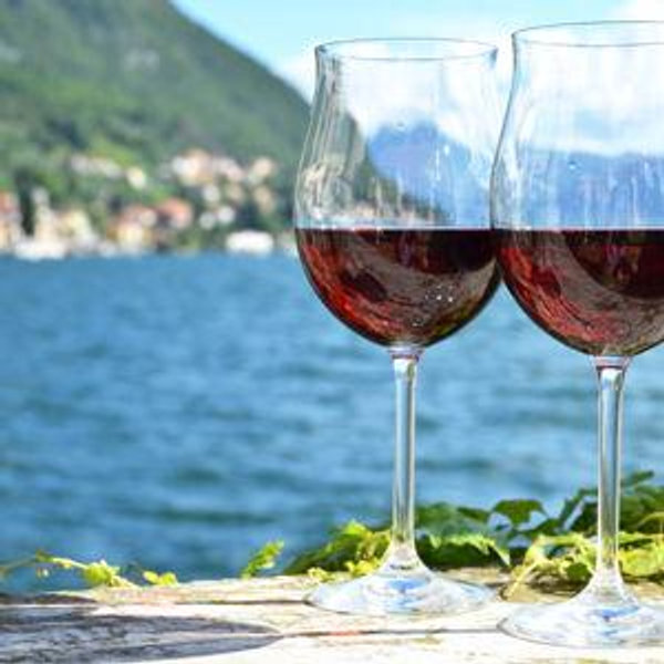 Wine Tasting Lake Como