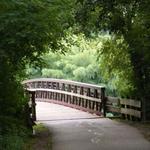 Constitution Trail