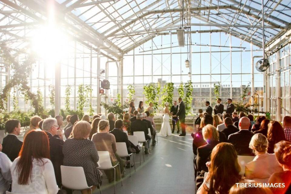 The Wedding Website of Marjorie Rodriguez and Todd Berry