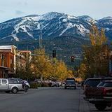 Whitefish