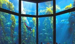 Monterey Bay Aquarium