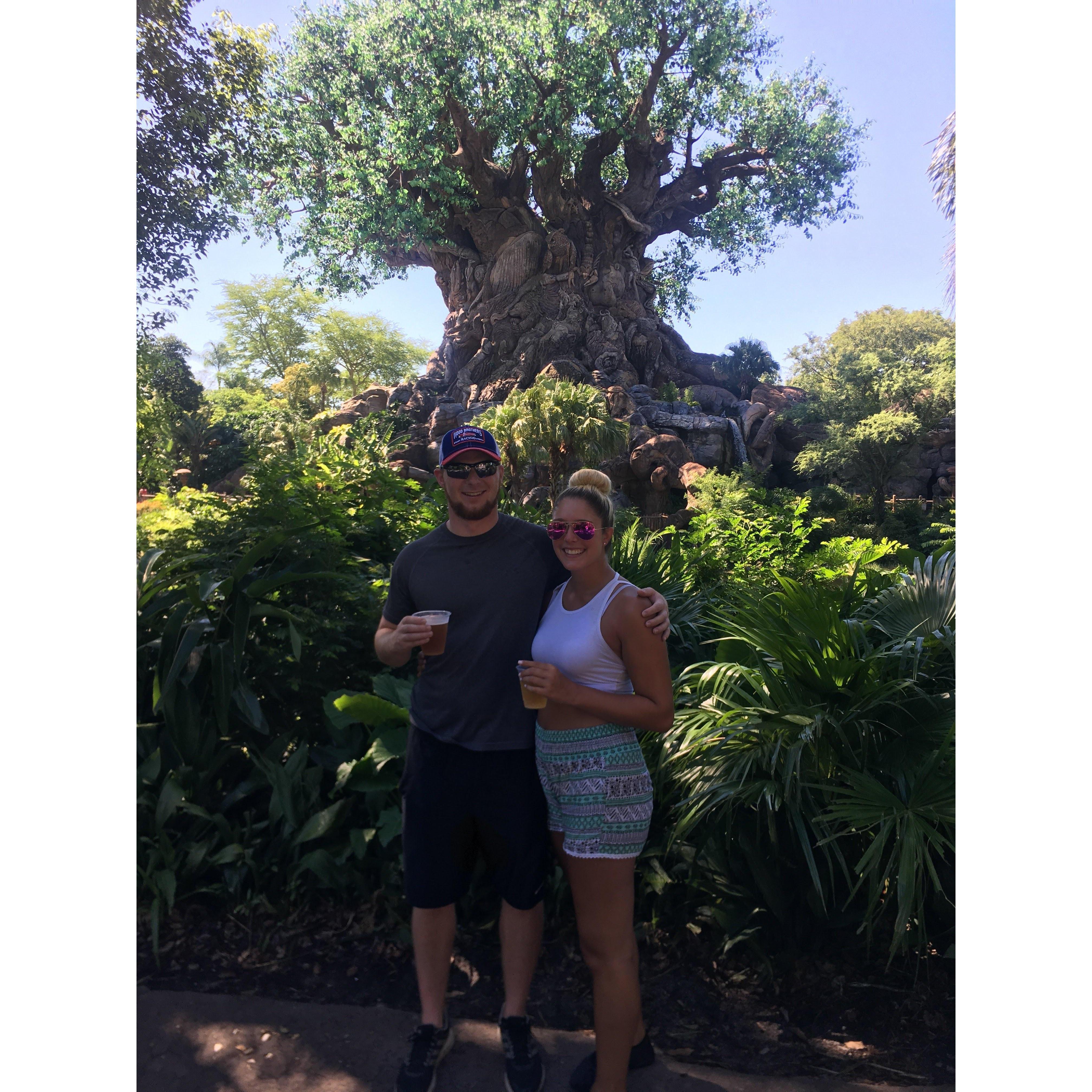Animal Kingdom-2017