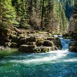 Brice Creek Falls Swimming Hole