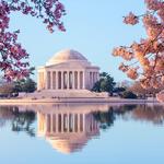 Washington D.C.