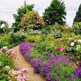 Mount Ephraim Gardens