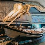 Whaling Museum