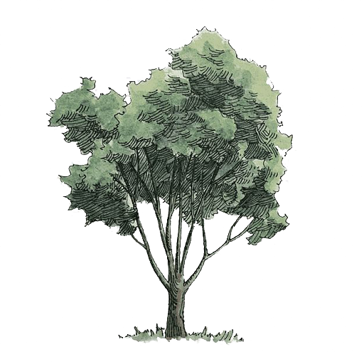 The Wedding Website of Paula Maldonado and Felipe Acosta