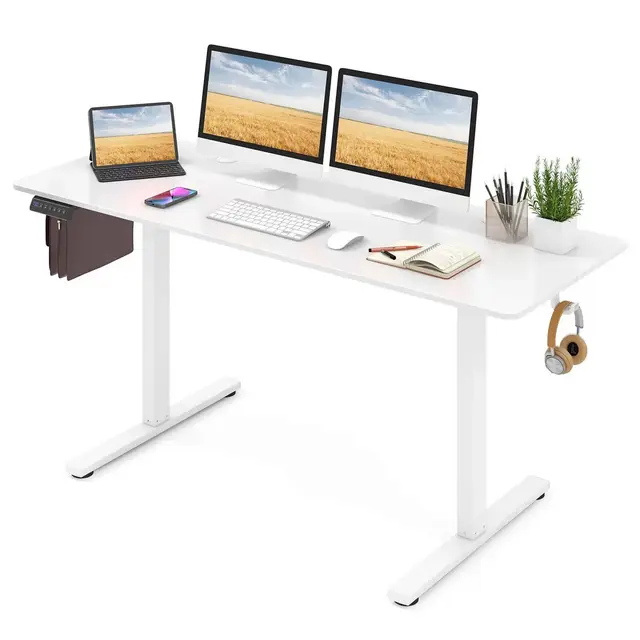 Costway 63 x 24 Inch Sit Stand Desk Height Adjustable Electric Standing Desk White