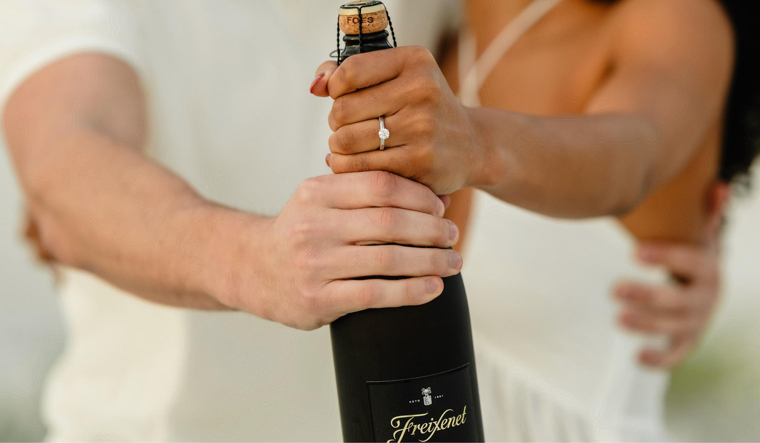 The Wedding Website of Farin DeBose and Charles Lemon