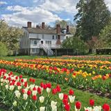 Stevens-Coolidge House & Gardens