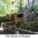 Oregon Vortex