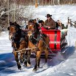 Sleigh Rides - Mountain Springs Lodge