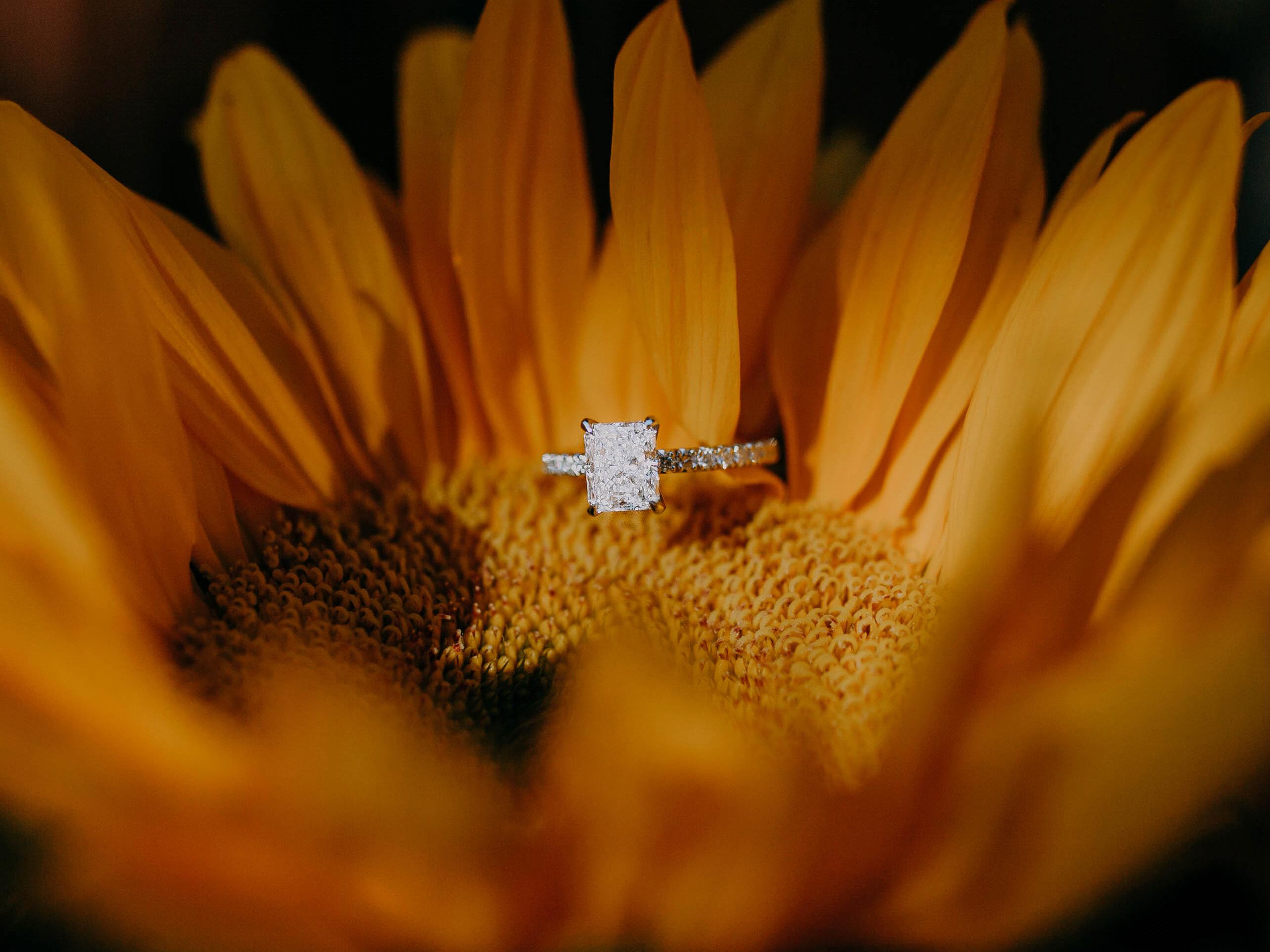 The Wedding Website of Abigail Swift and Andy Burke