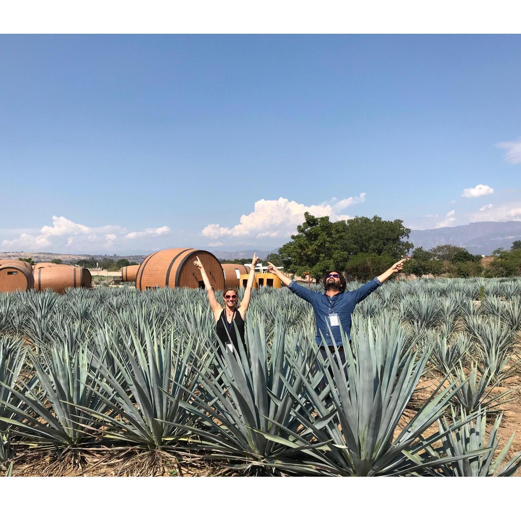 Invitations de mariage envoyées!
Wedding Invites sent!
Tequila, Mexico 2018