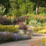 Cheekwood Botanical Gardens & Estate