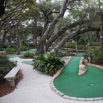 Heron's Cove Mini Golf