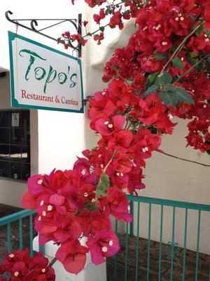 The Wedding Website of Kayla McClelland and Collin Thompson