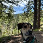Hyde Memorial State Park