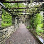 Stoneleigh: a natural garden