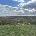 Hollin Farms