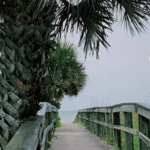 Cocoa Beach