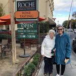 Walking Around Sonoma Plaza