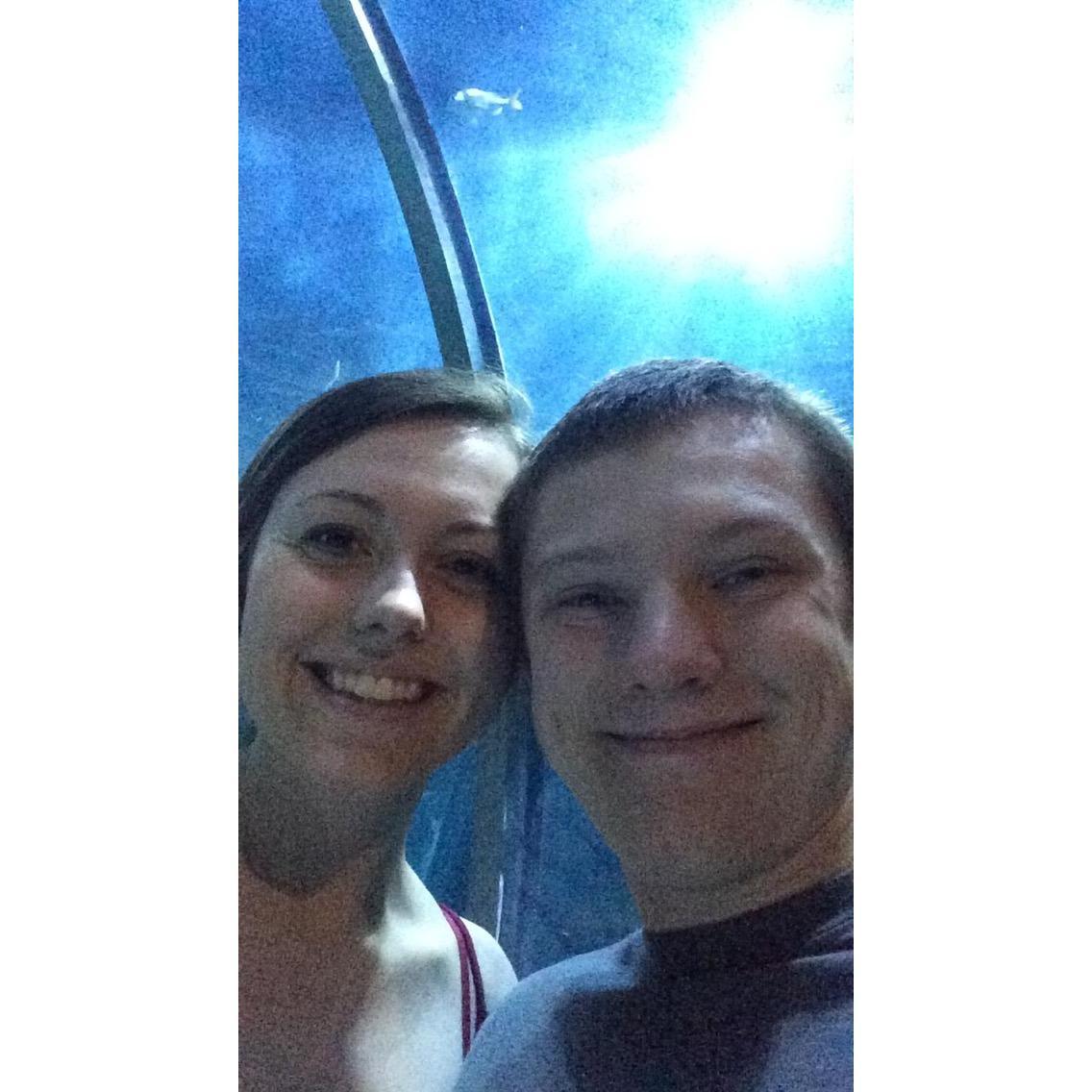 Audubon Aquarium of the Americas - New Orleans, Louisiana 2017