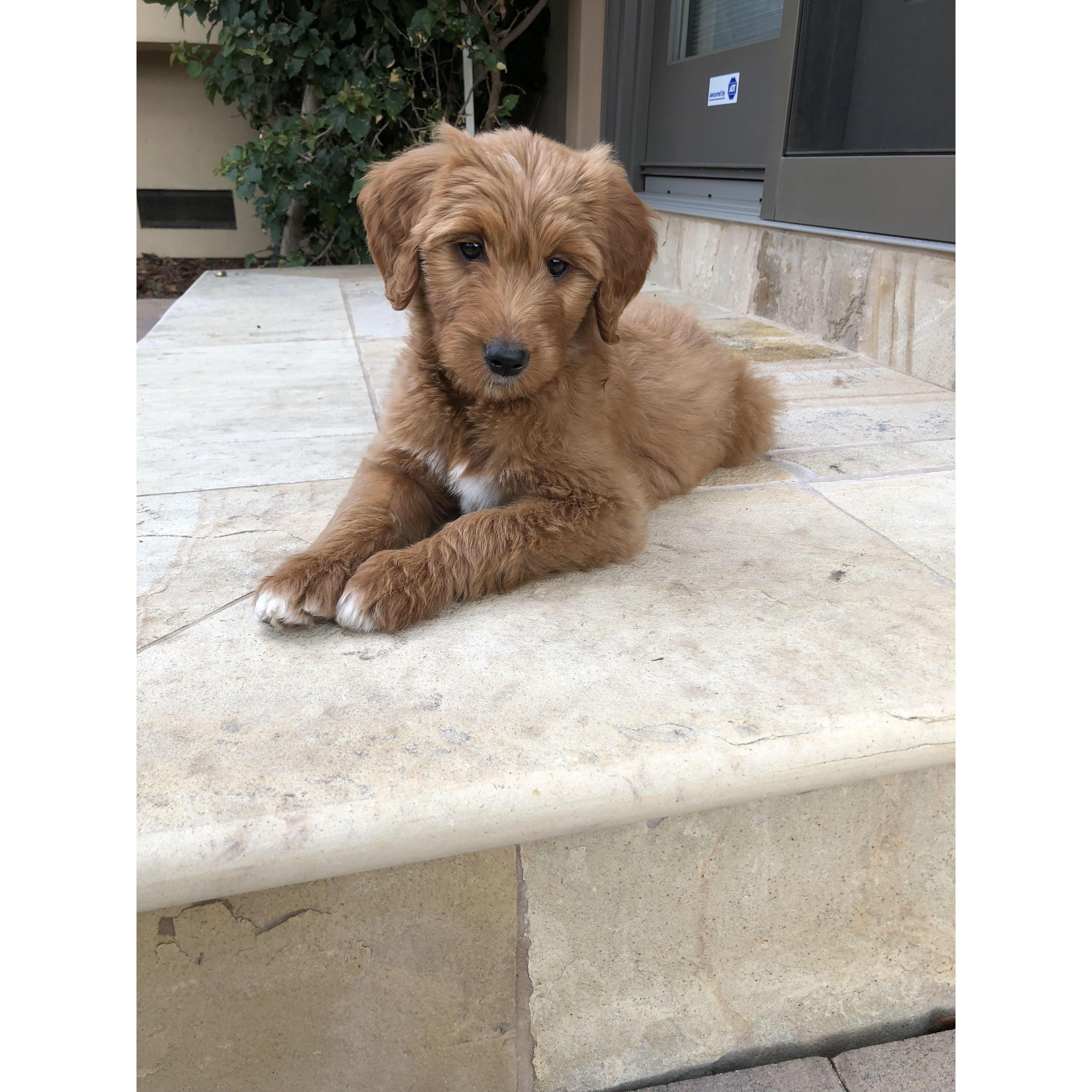 Noris first photoshoot 2019