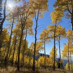 Teton Canyon Trailhead