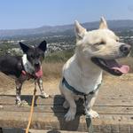 Westwood Hills Park