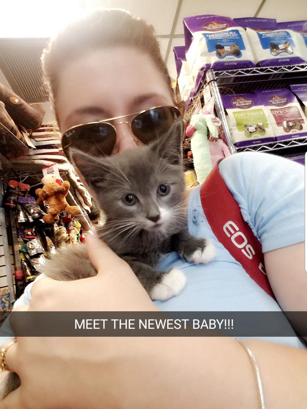 Our second cat. Meet Luke! (2016)